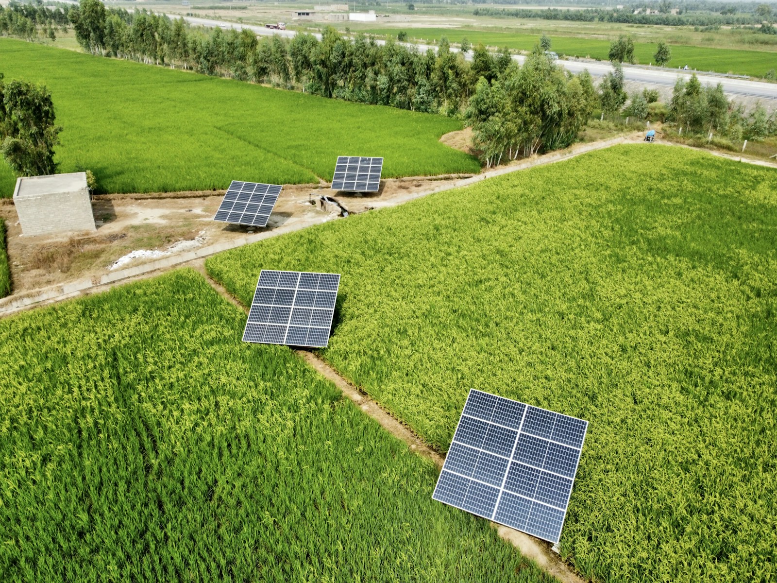 Vectis solar farm